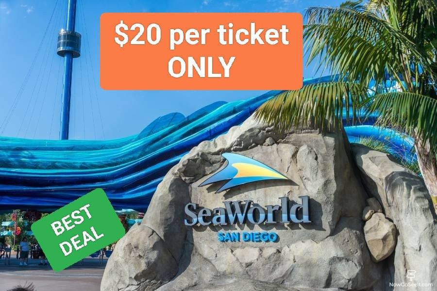 Sea World San Diego 1 Day Tickets, SeaWorld  San Diego Summer  Tickets 🌞🏝️🏝️🌞 Deal 