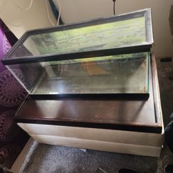 25 Gallon Aquarium 