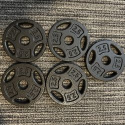 5lb Weight Plates And 2.5 Weight Plates Eazy Lift