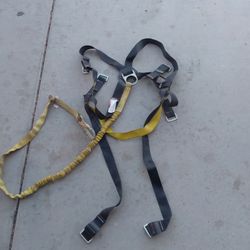 Body Harness 