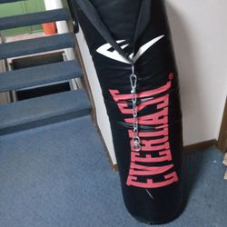 Excellent Condition Punching Bag