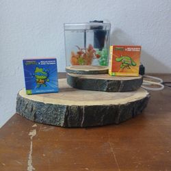 Collectibles 