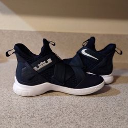 Mens Nike LeBron XII