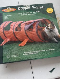 Doggie Tunnel