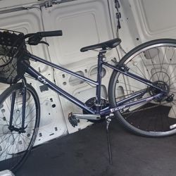 Adult Bike With Basket