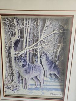 3 dimensional picture with amazing frame