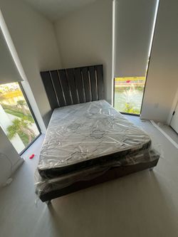 Queen Bed For Sale
