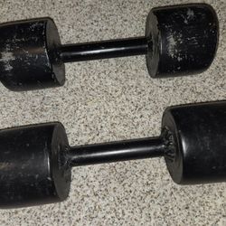 20 lb Dumbbell Pair
