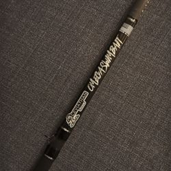 Leviathan Omega Swimbait Rod