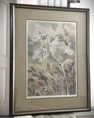 VINTAGE (1976) N Taylor Stonington Signed Art Print "Milkweed Pods"