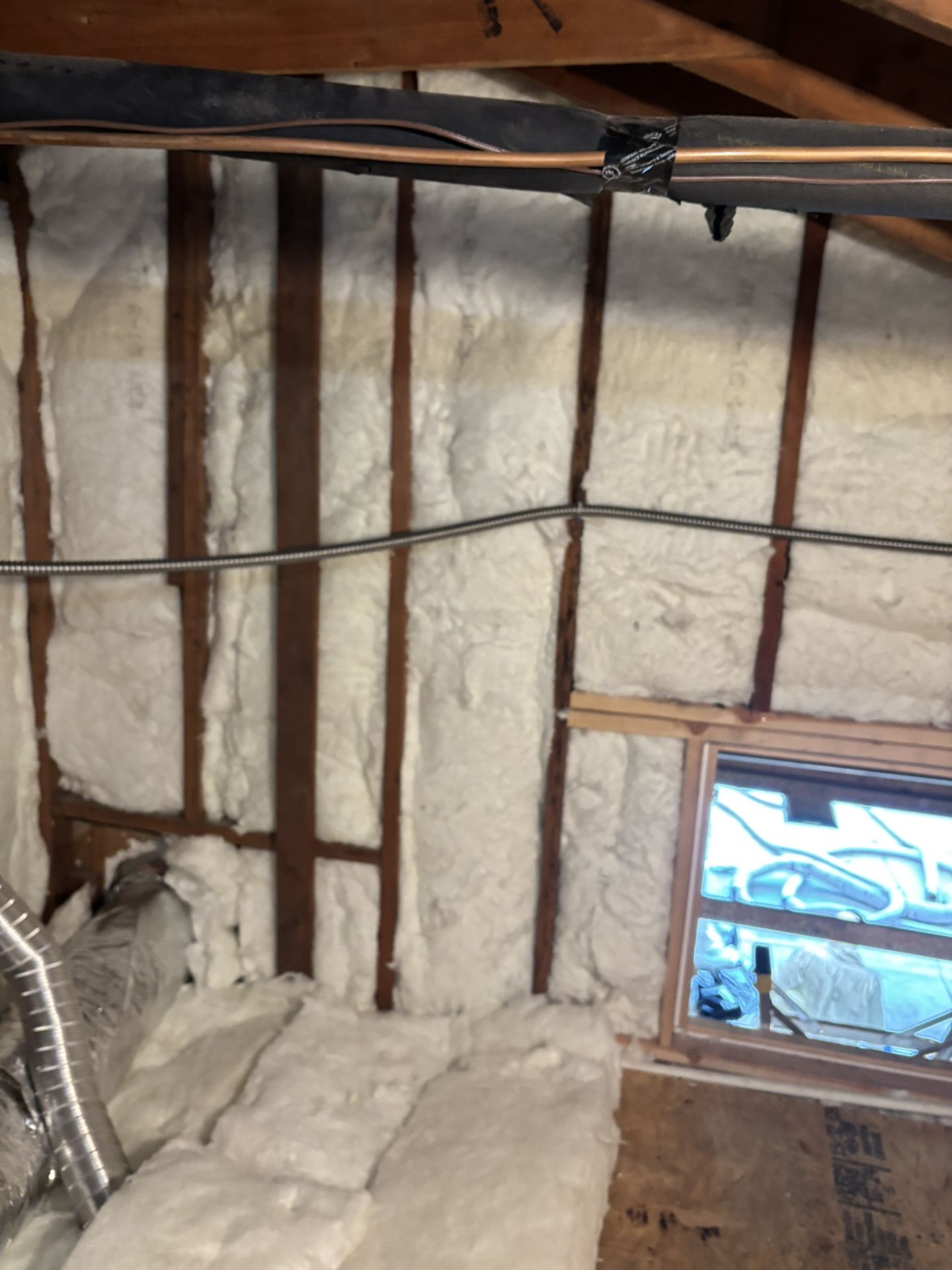 Rodent Exclusion/prevention