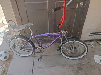 Project lowrider bike
