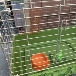 Cage for guinea pigs 
