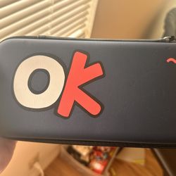 Nintendo switch case