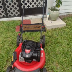 Pushing Lawnmower . Start On The First Pull.
