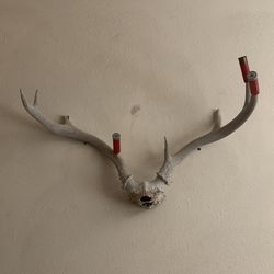 DEADHEAD DEER ANTLERS