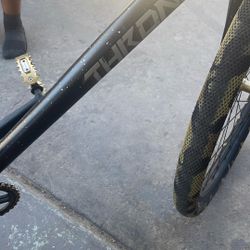 29inch Throne Bike 
