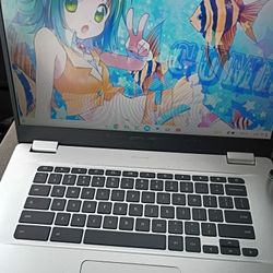 ASUS 15" Chromebook 