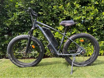 750w 48V ebike fat tire burningman