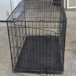 Large foldable dog crate