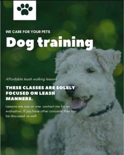Dog Leash