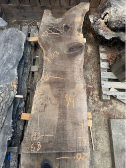 Black walnut slabs