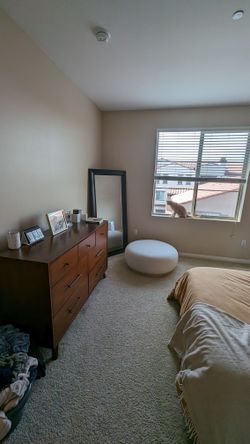 Williams 7 Drawer Dresser