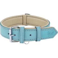Riparo Genuine Leather Padded Dog Heavy Duty K-9 Adjustable Collar (M, Aqua)