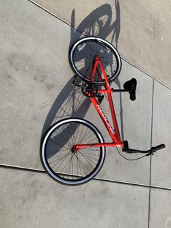Red line 24”