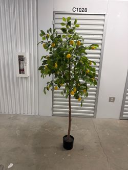 Lemon Tree Faux