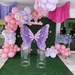 Butterfly Birthday Party Decoration Kids Celebration Custom Backdrop Ballons Arch