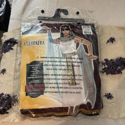 Cleopatra Queen Costume