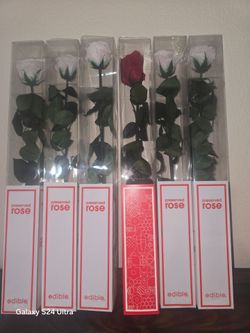 New qty 6 preserved roses 🌹 $20 Obo