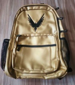 Logan Paul Maverick Gold Backpack 🎒