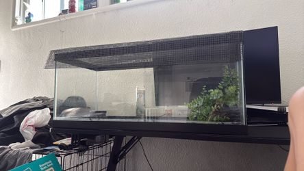 30 gallon tank