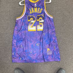 lebron rookie of the year jersey
