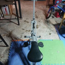 Sunny Health & Fitness 