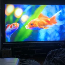 Epson 3 D Projector 