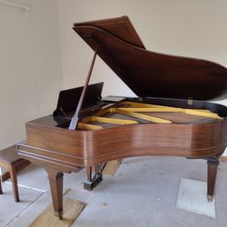 Free piano must pick up lutz