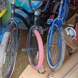 2 Beach Cruiser 1 Dirt Bike
