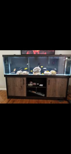 125g fish tank ensemble