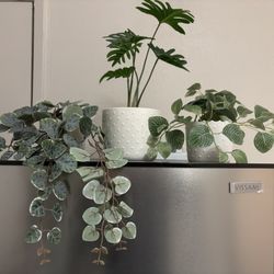 Fake Plants Decorative
