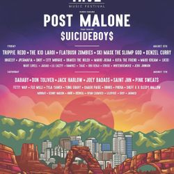 Hive Music Festival Ticket 