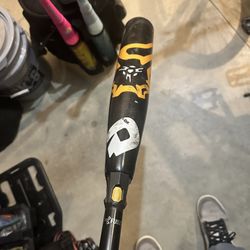 DeMarini