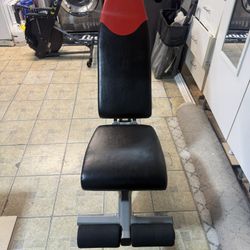 Bowflex Weight Workout Bench