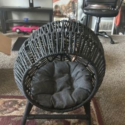 Cat Nest