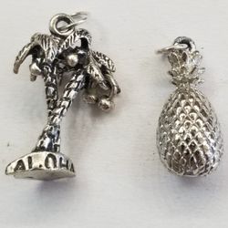 Two Silver Charms