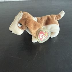 TY Beanie Baby Hound Dog Named Tracker 