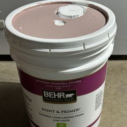 BEHR PREMIUM PLUS 5 gallon Eggshell Interior Paint & Primer Pink Blush 