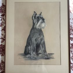 Hand Drawn Schnauzer Artwork 